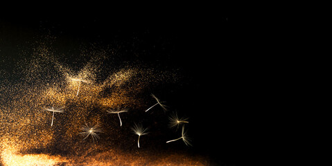 Abstract dark background with gold sparkles and white inflorescences Dandelion. Blurred effect. Festive background for project