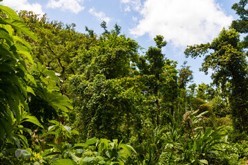 Nationalpark Guadeloupe