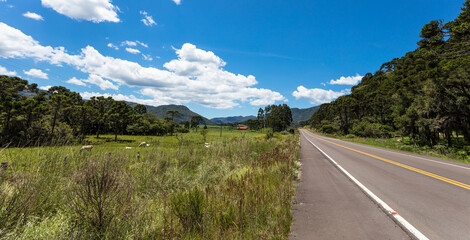 Paisagem rural com estrada asfaltada e campo verde de pastagem