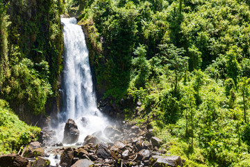 Guadeloupe, Wasserfall im Nationalpark der karibischen Insel. © AIDAsign