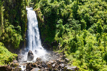 Guadeloupe, Wasserfall im Nationalpark der karibischen Insel.