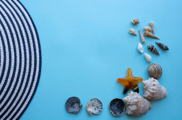 Sea shells edge of the hat on a blue background.The concept of vacation, travel.