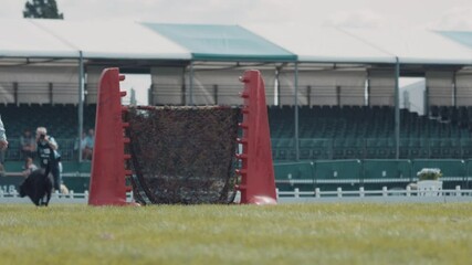 Dog jumping in slow motion, canine agility event