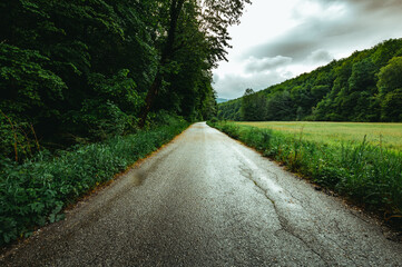 Fototapeta premium Photo of straight road (way) after rain with meadow and forest on background. Beautiful scene of forest road with perfect greenery - dark photo. Tranquil way in the middle of Slovak forest in Europe.