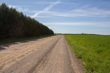 Fototapeta na wymiar Country road on a bright sunny day. A countryside with field view