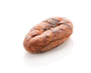 Cocoa bean isolated on a white background.