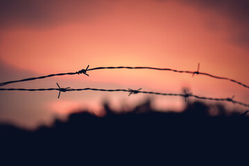 barbed wire against blue sky