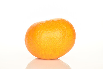 Bright yellow juicy, fresh, organic tangerines, close-up, on a white background.