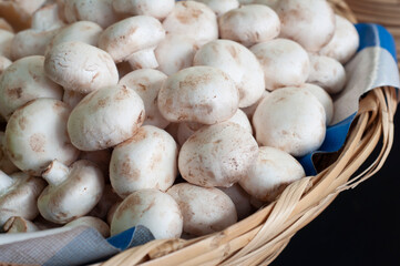 mushrooms in a market basket