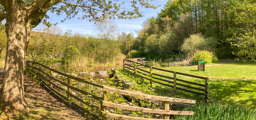 Panoramic view of a county park with a path, trees and fences