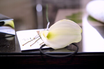 lily on a table