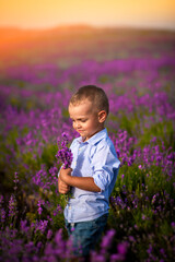 A little boy is playing on a beautiful lavender field. Family, vacation