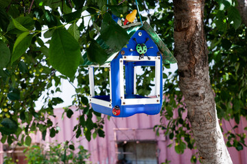 A blue bird feeder hangs on a branch of a cherry tree in front of the house.