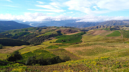 paisaje de siembra en el campo