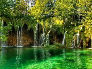 Landscape of waterfall and turquoise lake in the forest. Plitvice Lakes National Park. Nacionalni park Plitvicka Jezera, one of the oldest and largest national parks in Croatia. UNESCO World Heritage.