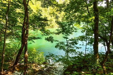 Landscape of turquoise lake in the forest. Plitvice Lakes National Park, Croatia. Nacionalni park Plitvicka Jezera, one of the oldest and largest national parks in Croatia. UNESCO World Heritage.
