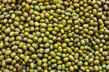 The mung bean, green gram, or maash background/texture. Close up. Abstract background.