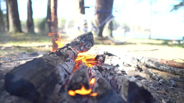 Cooking on the fire. BBQ. Picnic. Roasting meat on a fire. Fire.