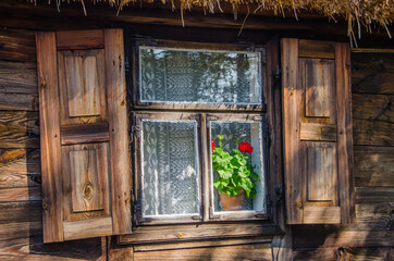 Window of an old cabin with a red flower