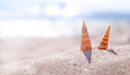 Fototapeta na wymiar Two spiral patterned sea shells on a sea beach shore with soft warm bokeh sunlight. Without people. With copy space.