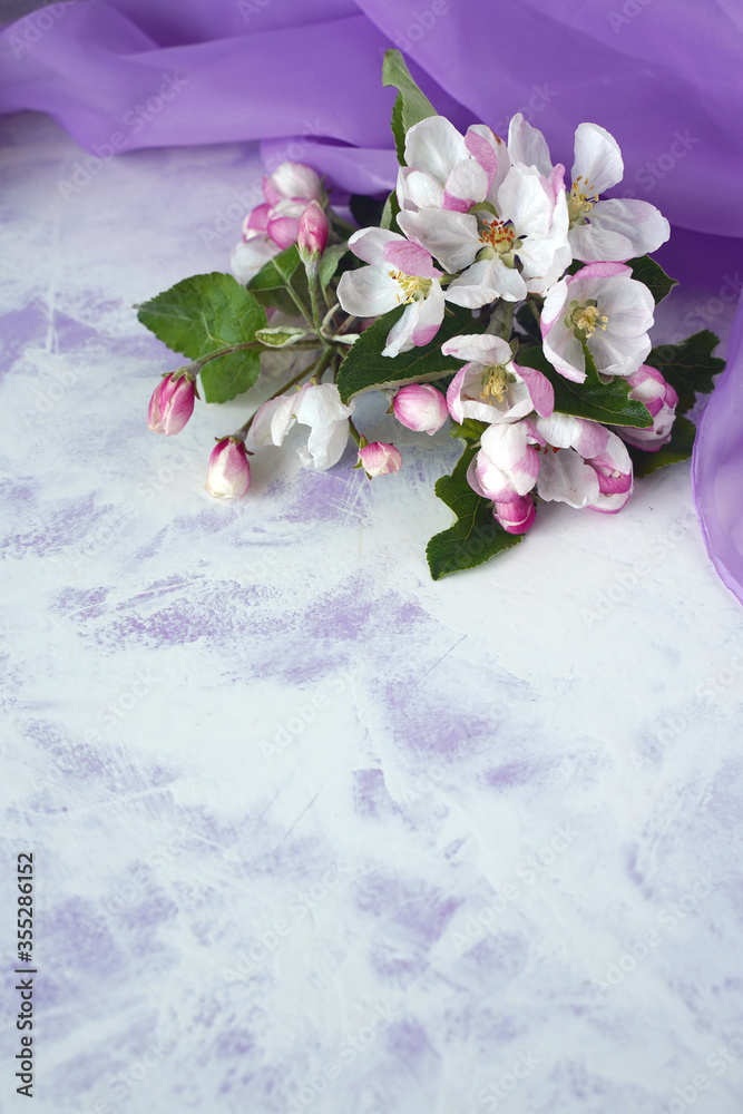 Sticker apple flowers on a purple and white background