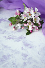 apple  flowers on a purple and white background