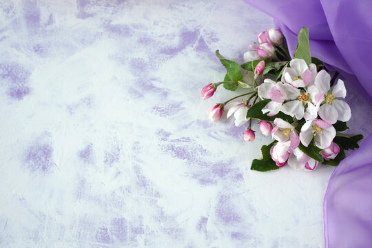 watercolor background with spring apple blossom. copy space