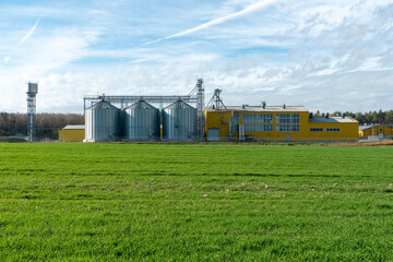 Fototapeta na wymiar A large modern plant for the storage and processing of grain crops. view of the granary on a sunny day. Large iron barrels of grain. silver silos on agro manufacturing plant for processing and drying