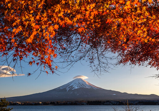 Fujisan with red maple foreground and cloud cap in fall
