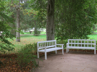 Russia. Village Mikhailovskoye. Museum-reserve of the great poet Pushkin. The road to the poet's...