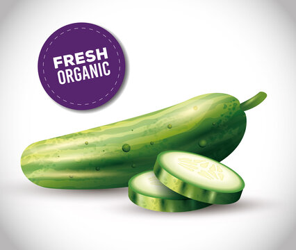 cucumber whole and sliced, healthy food, fresh vegetable organic vector illustration design