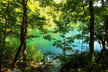 Landscape of turquoise lake in the forest. Plitvice Lakes National Park, Croatia. Nacionalni park Plitvicka Jezera, one of the oldest and largest national parks in Croatia. UNESCO World Heritage.