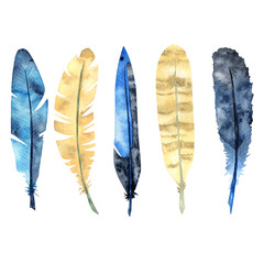 Set of watercolor bird feathers.
