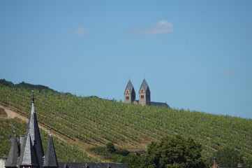 Blick über die Weinberge auf die Turmspitzen der Abtei Sankt Hildegard in Rüdesheim am Rhein