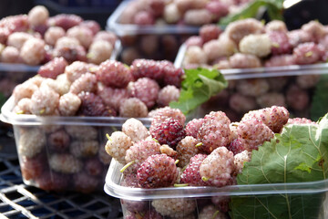 Organic Juicy Mulberry in Grocery