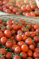 Organic Vegetable Juicy Tomato in Grocery