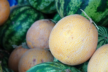 Delicious Organic Melon in Grocery Store