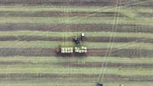 Aerial shot of a hay tractor collecting and loading hay bales in a beautiful Italian landscape with wind turbines in the background