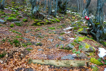 Colorful mountain track on Old mountain in Serbia leading to popular waterfall Tupavica 