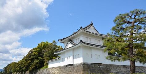 Obraz premium Turret of a palace with a pine tree at side