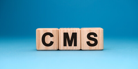 CMS website - text concept on wooden cubes with gradient background