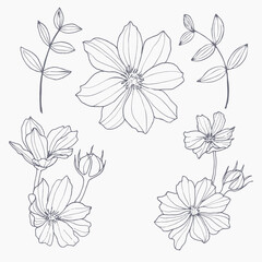 Hand drawn flowers and leaves isolated on white background.