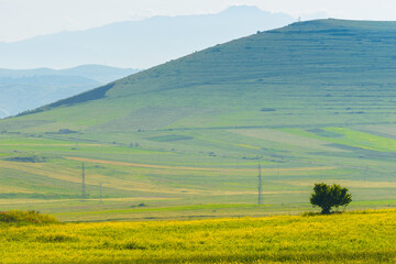 Tall green hill covered with lush grass, pasture in the mountains of Armenia