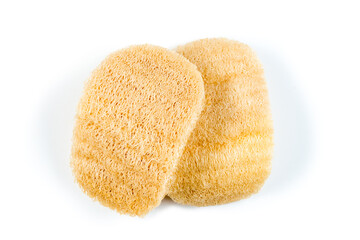 Loofah sponge close up isolated on white. Luffa sponge, fiber scrubber, cleansing beauty product