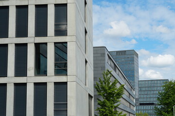 modern office buildings with glass facades and  big windows constructed side by side in a row with a lonely tree. 