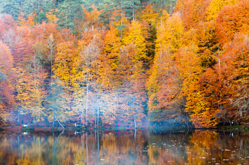 Yedigoller National Park, Autumn views. Bolu, Turkey.