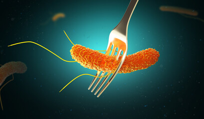 Food Poisoning, Salmonella