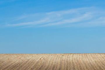 Fields under the blue sky. - 355298143