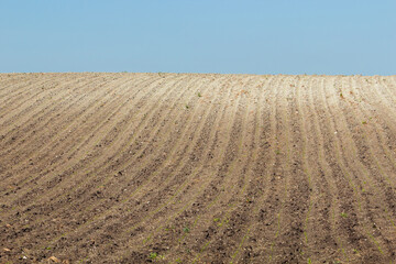 Countryside landscape with plowed fileds. - 355298177