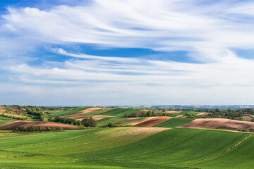 Spring countryide landscape of fileds under the beautiful blue sky.
